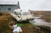 ecto